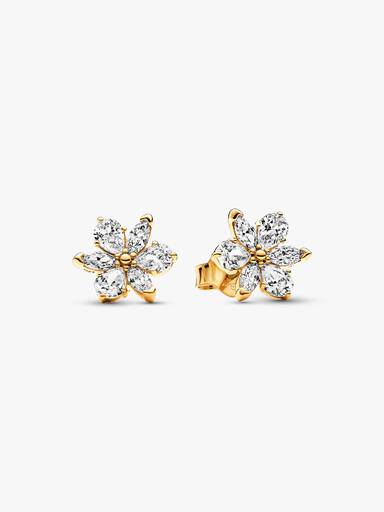 Clous d’Oreilles Herbier Scintillant