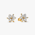 Clous d’Oreilles Herbier Scintillant Clous d’Oreilles Herbier Scintillant