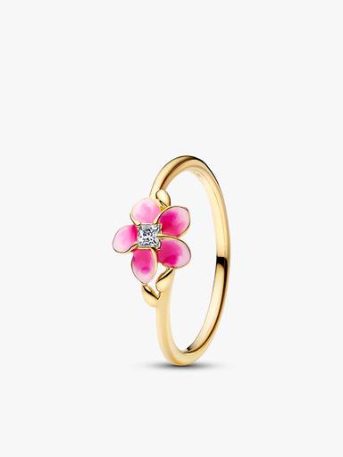 Coffret Cadeau Fleur de Vaiana