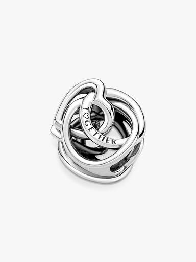 Charm Cœur et Cercles Ma Famille Pour Toujours