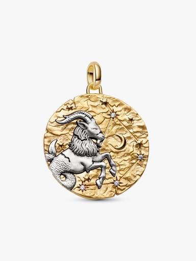 Charm Médaillon XL Signe du Capricorne