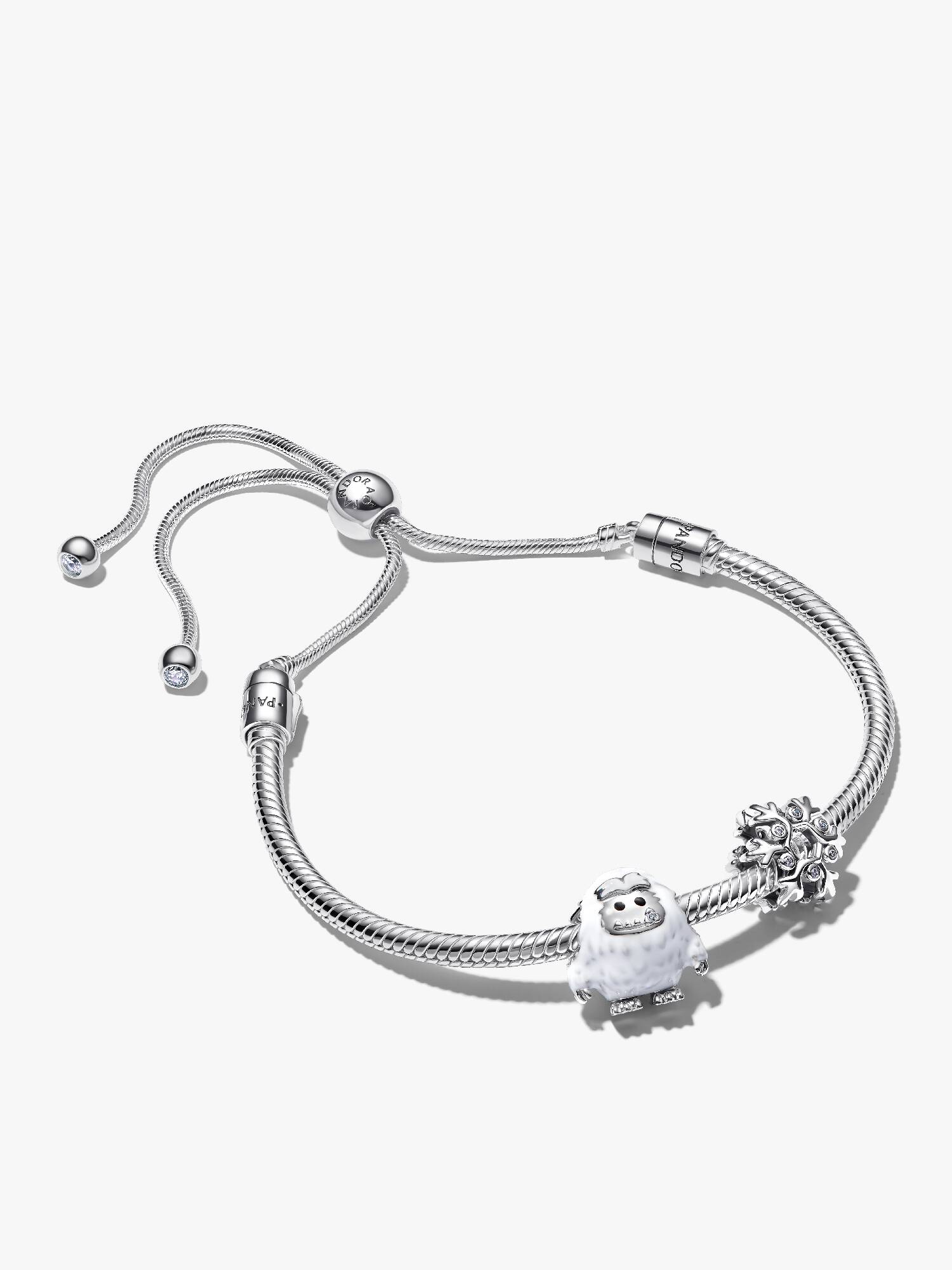 Coffret Cadeau Bracelet Yéti Enneigé