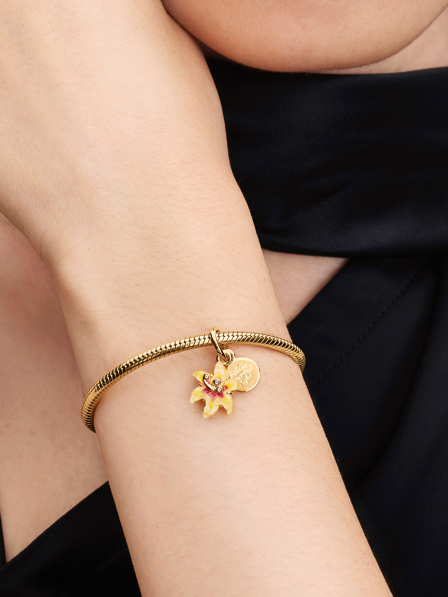 ☀️Charm Disney Raiponce Campanule Luminescente