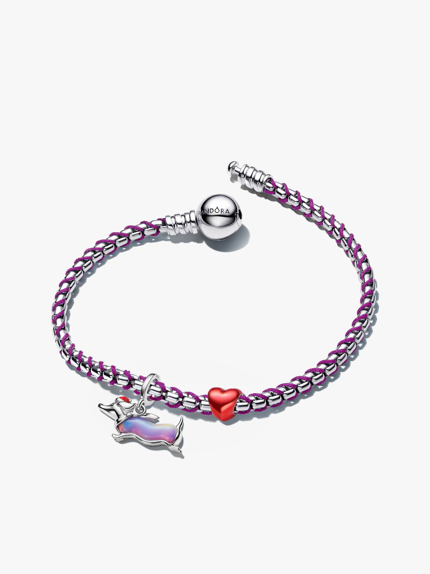 Coffret Cadeau Bracelet Teckel de Noël