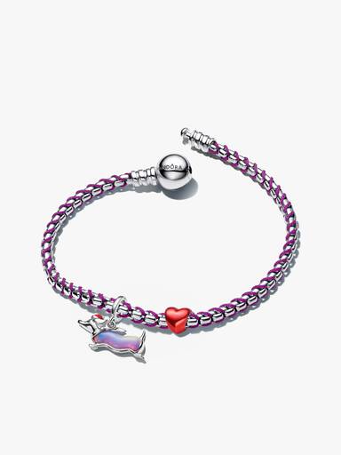 Coffret Cadeau Bracelet Teckel de Noël