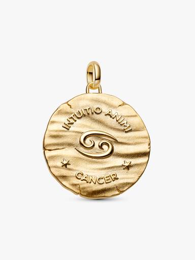 Charm Médaillon XL Signe du Cancer