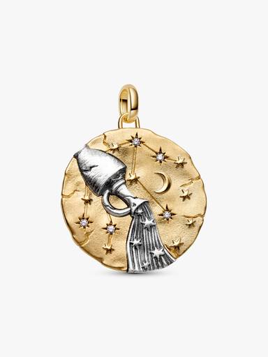 Charm Médaillon XL Signe du Verseau