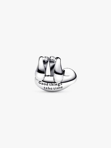 Charm Paresseux Suspendu