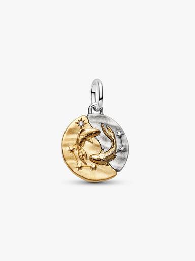 Charm Médaillon Signe des Poissons