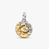 Charm Médaillon Signe des Poissons Charm Médaillon Signe des Poissons