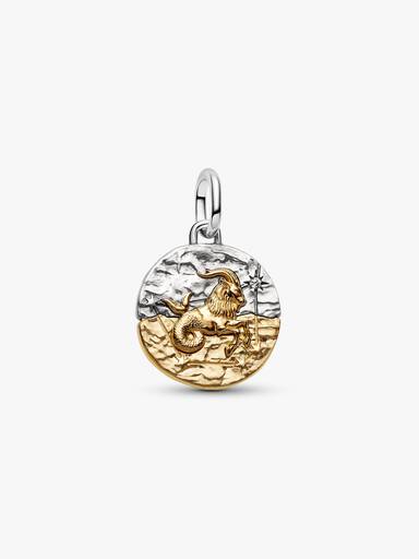 Charm Médaillon Signe du Capricorne