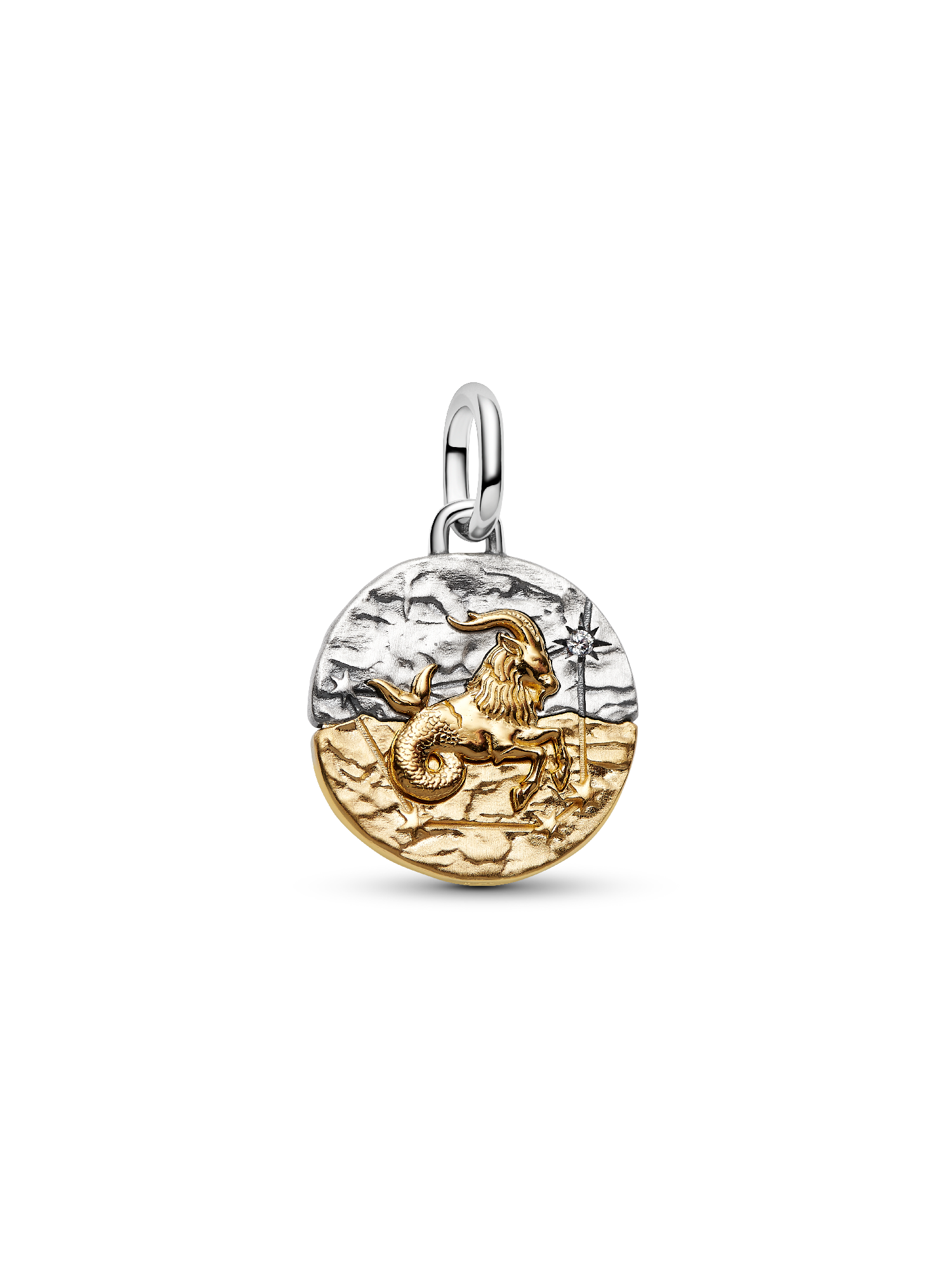 Charm Médaillon Signe du Capricorne