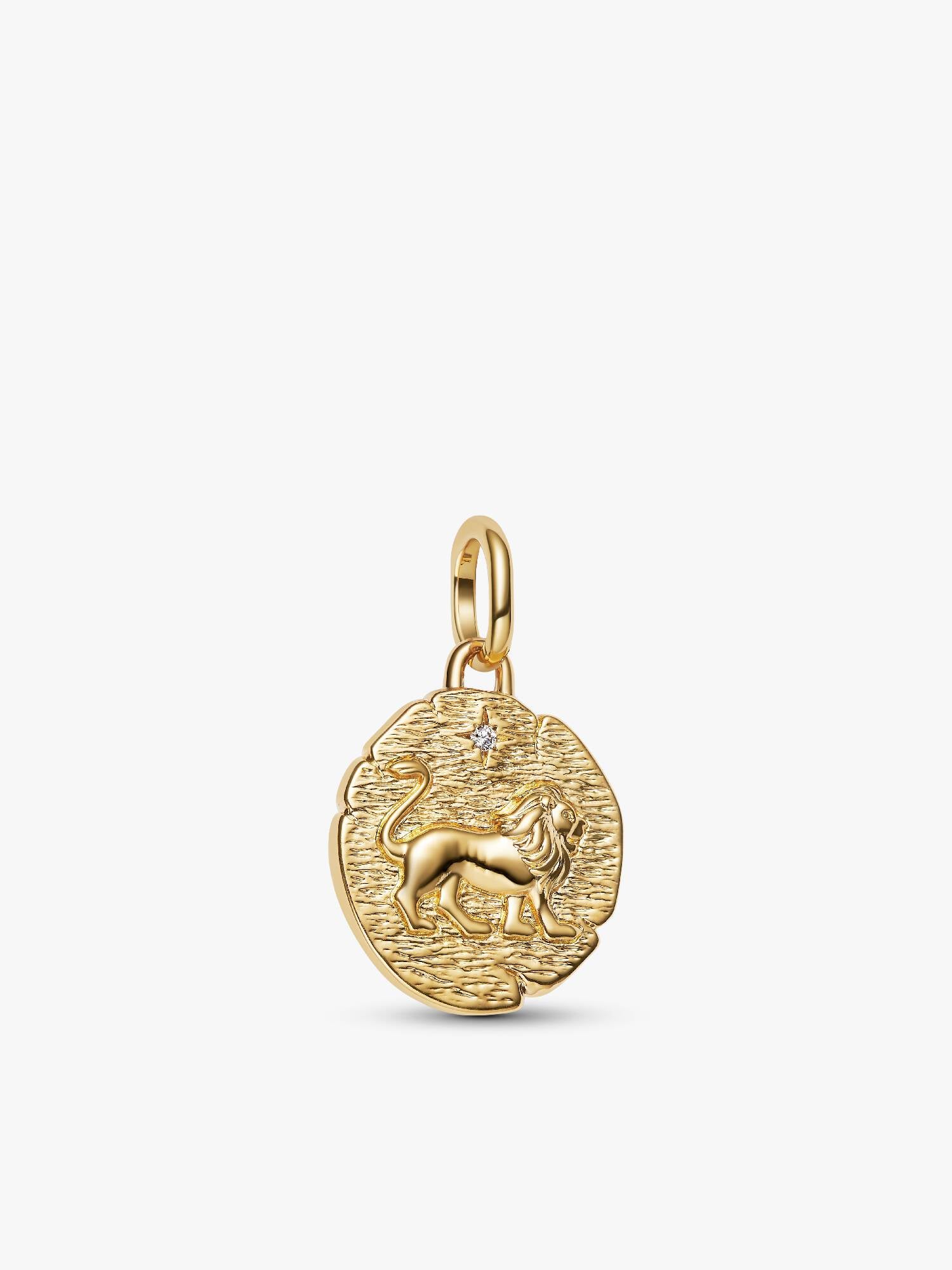 Charm Médaillon Lion