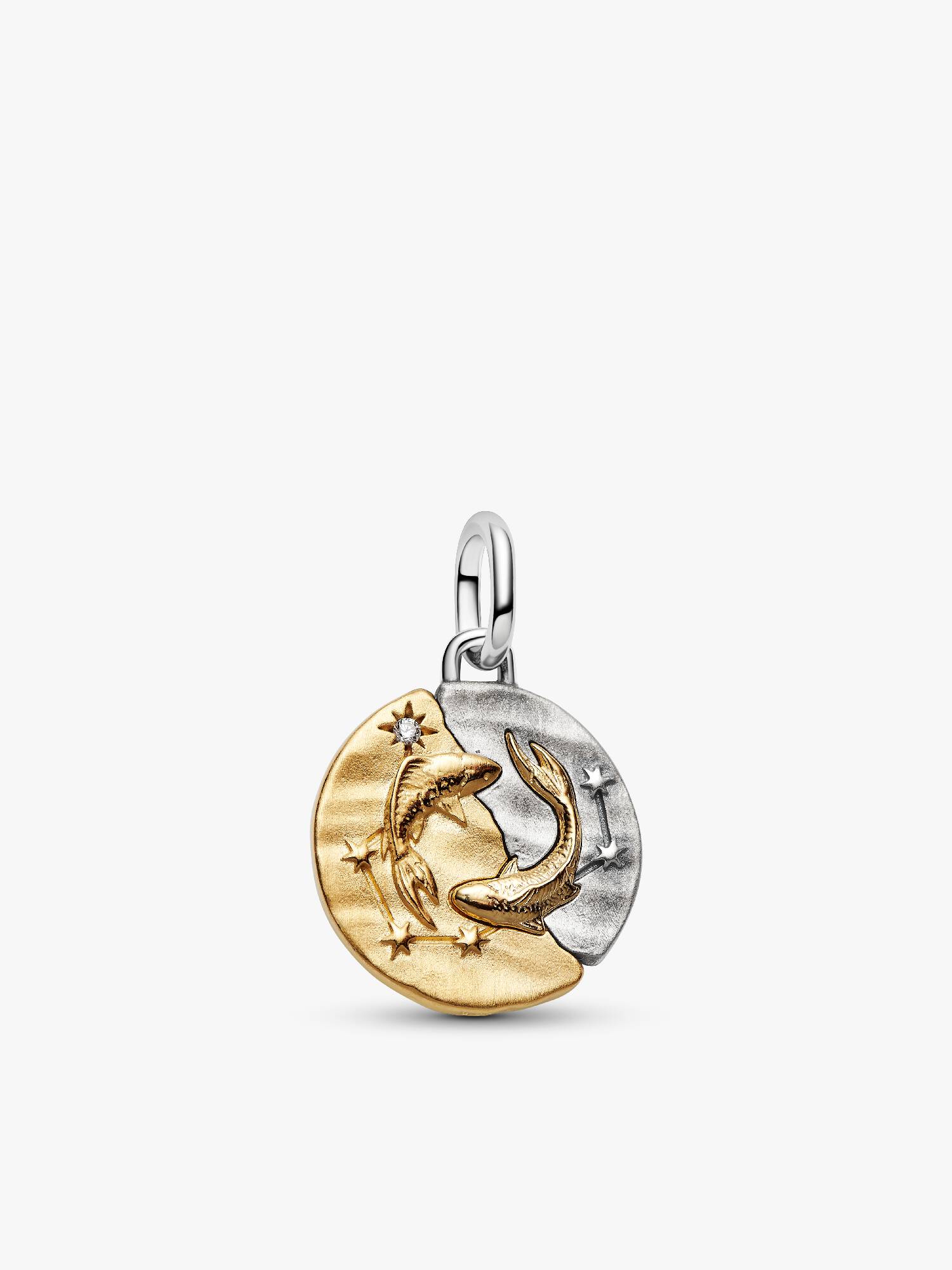 Charm Médaillon Signe des Poissons