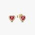 Clous d'Oreilles Cœurs Surélevés Clous d'Oreilles Cœurs Surélevés