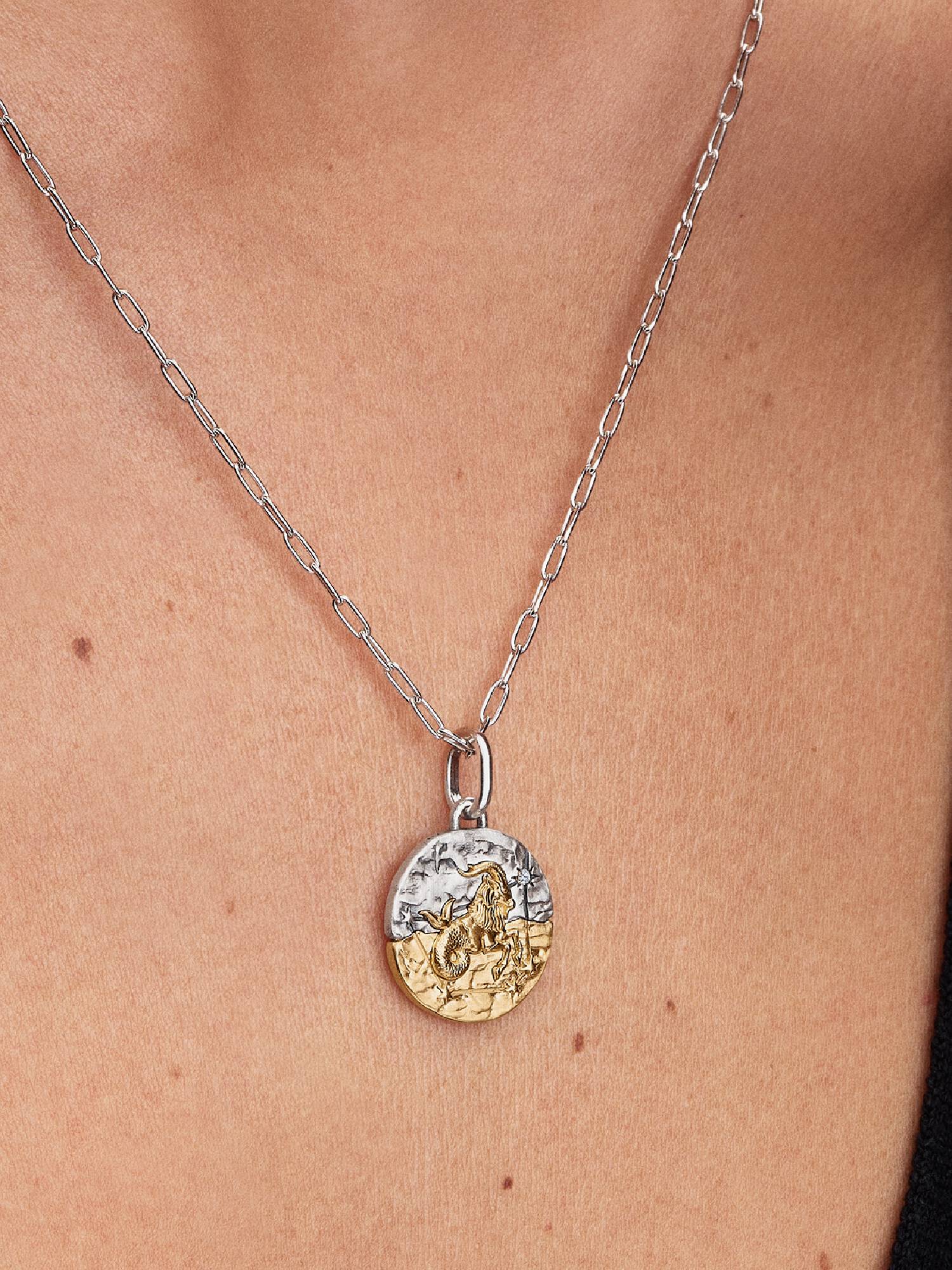 Charm Médaillon Signe du Capricorne
