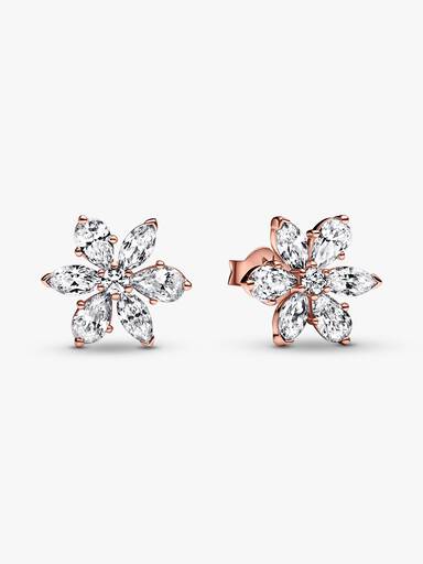 Clous d'Oreilles Herbier Scintillant