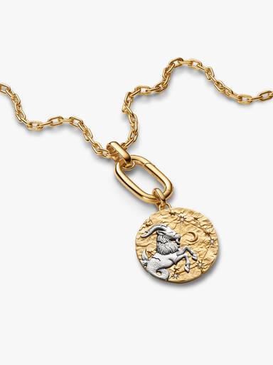 Charm Médaillon XL Signe du Capricorne