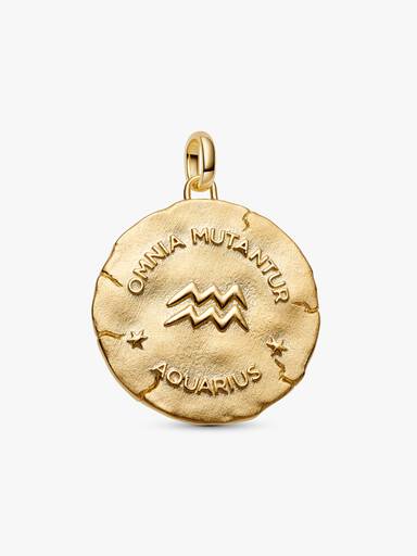 Charm Médaillon XL Signe du Verseau