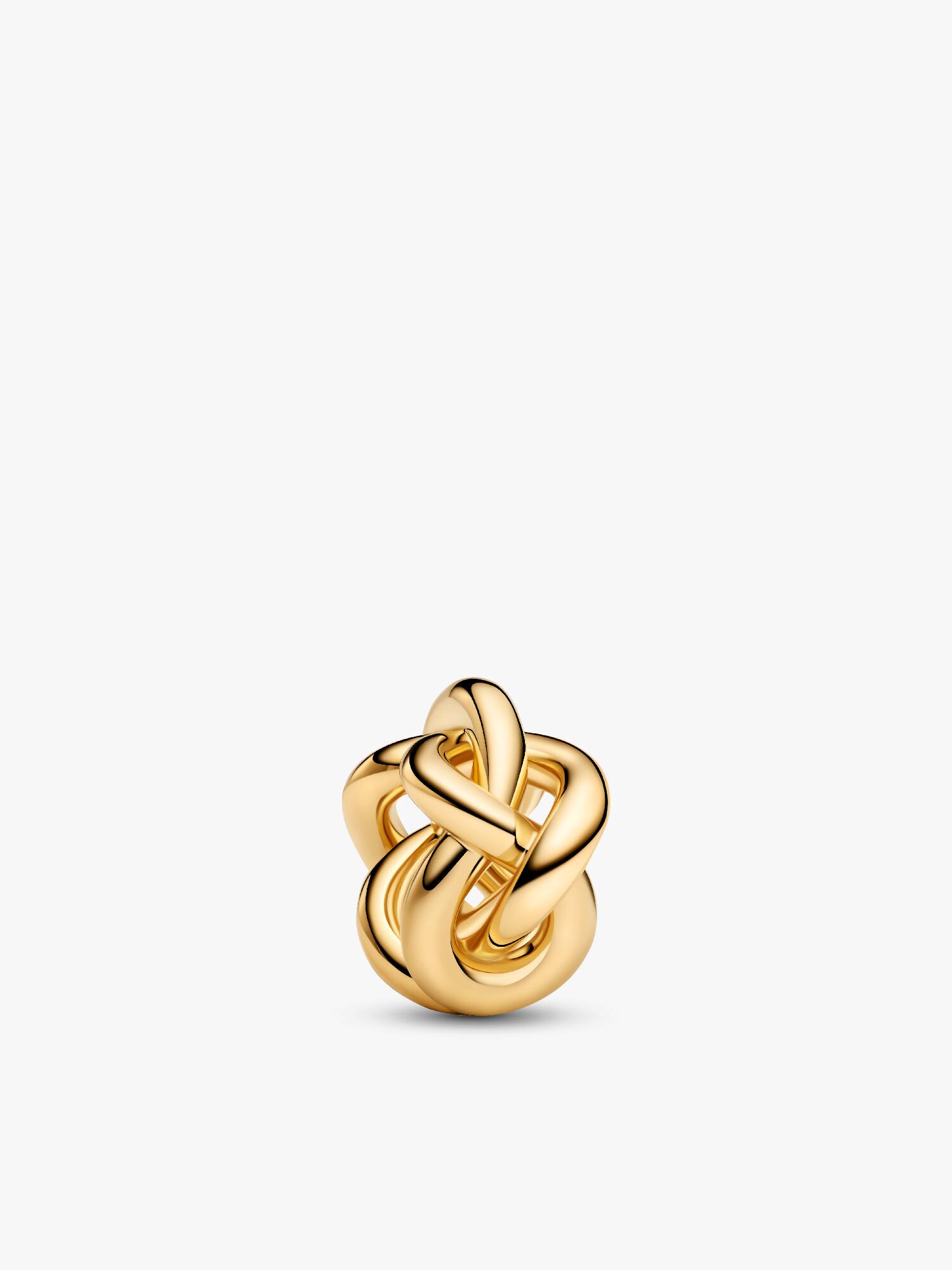 Charm Nœud de l'Infini