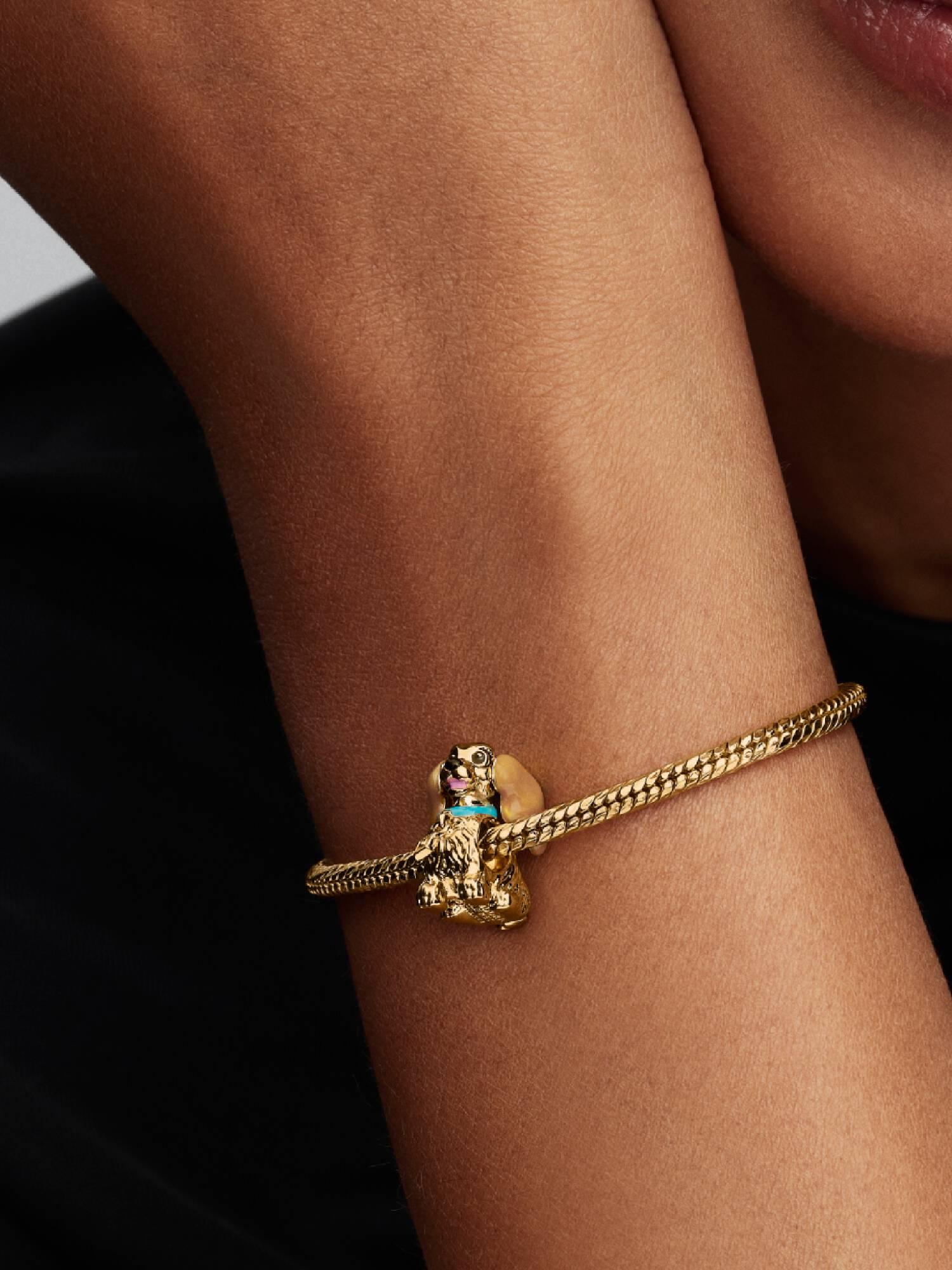 Charm Disney Lady Doré