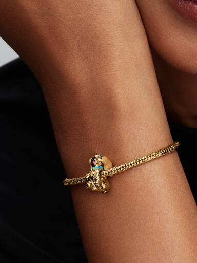 Charm Disney Lady Doré