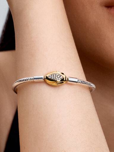 Bracelet Fermoir & Maille Serpent