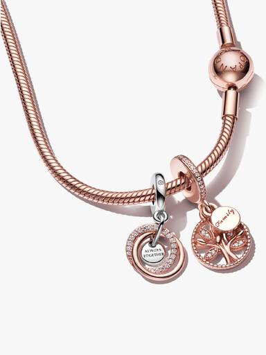 Coffret Cadeau De colliers de charms Family Circle Rose