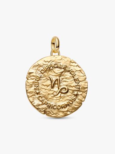 Charm Médaillon XL Signe du Capricorne
