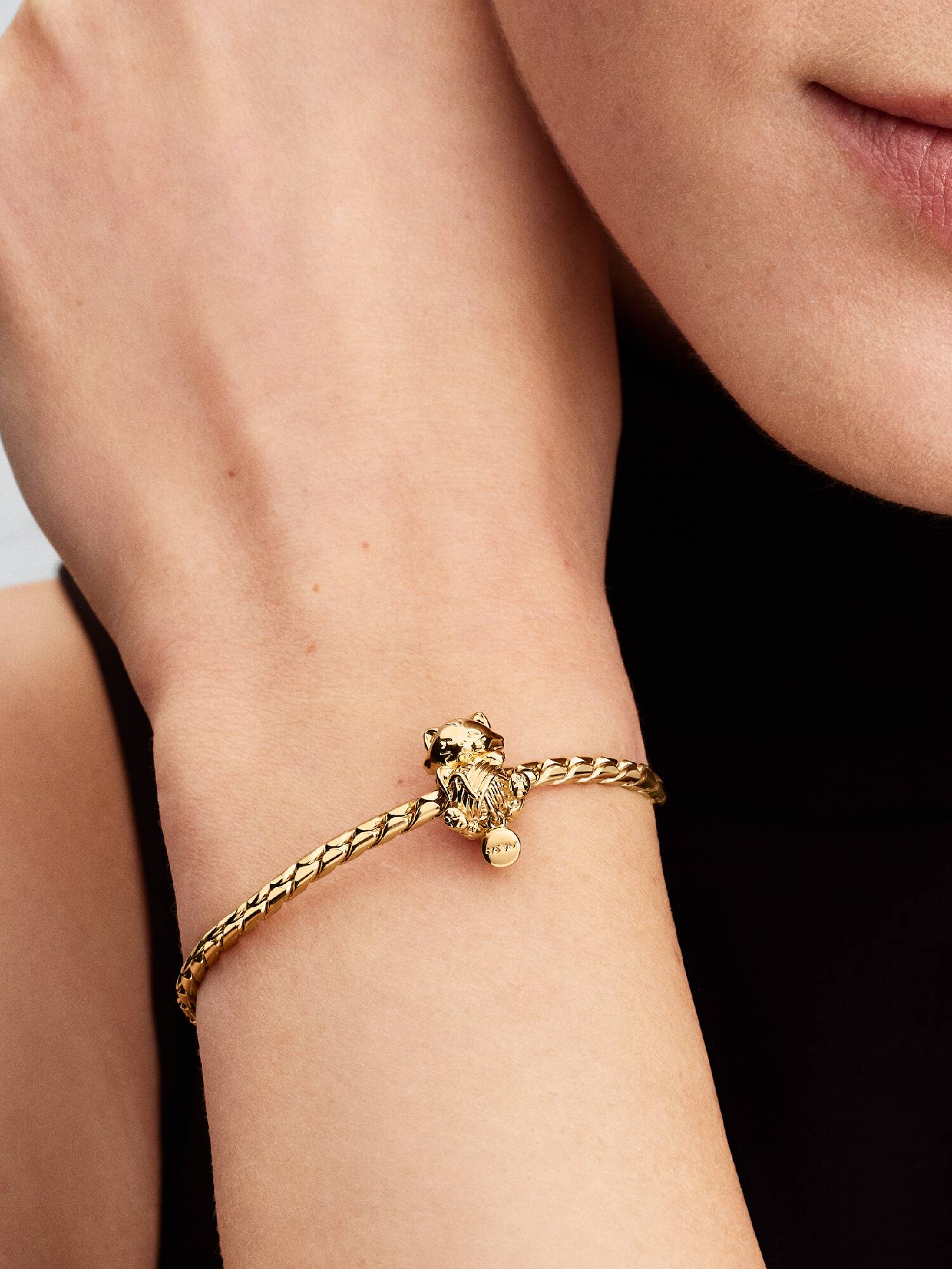 Charm Chaton & Pelote de Laine