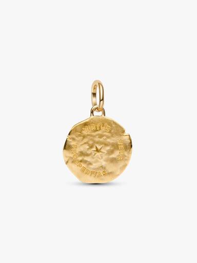 Charm Médaillon Épi de Blé Doré