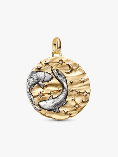 Charm Médaillon XL Signe des Poissons