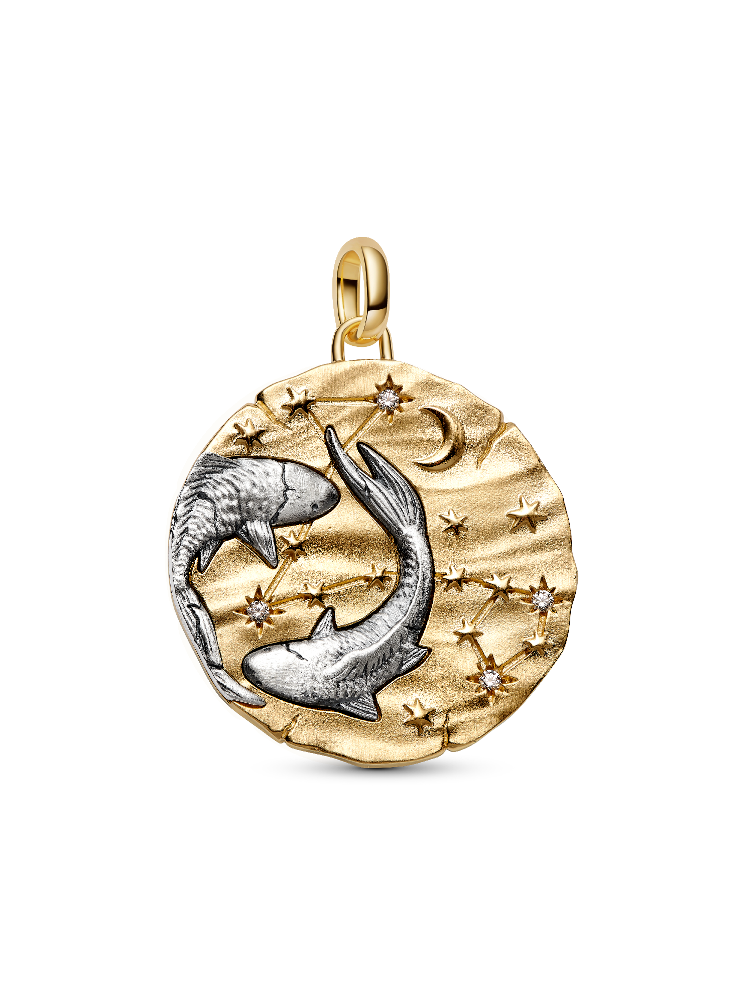 Charm Médaillon XL Signe des Poissons