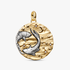 Charm Médaillon XL Signe des Poissons Charm Médaillon XL Signe des Poissons