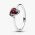 Bague Cercle Éternité Couleur de Naissance du Mois de Juillet Bague Cercle Éternité Couleur de Naissance du Mois de Juillet