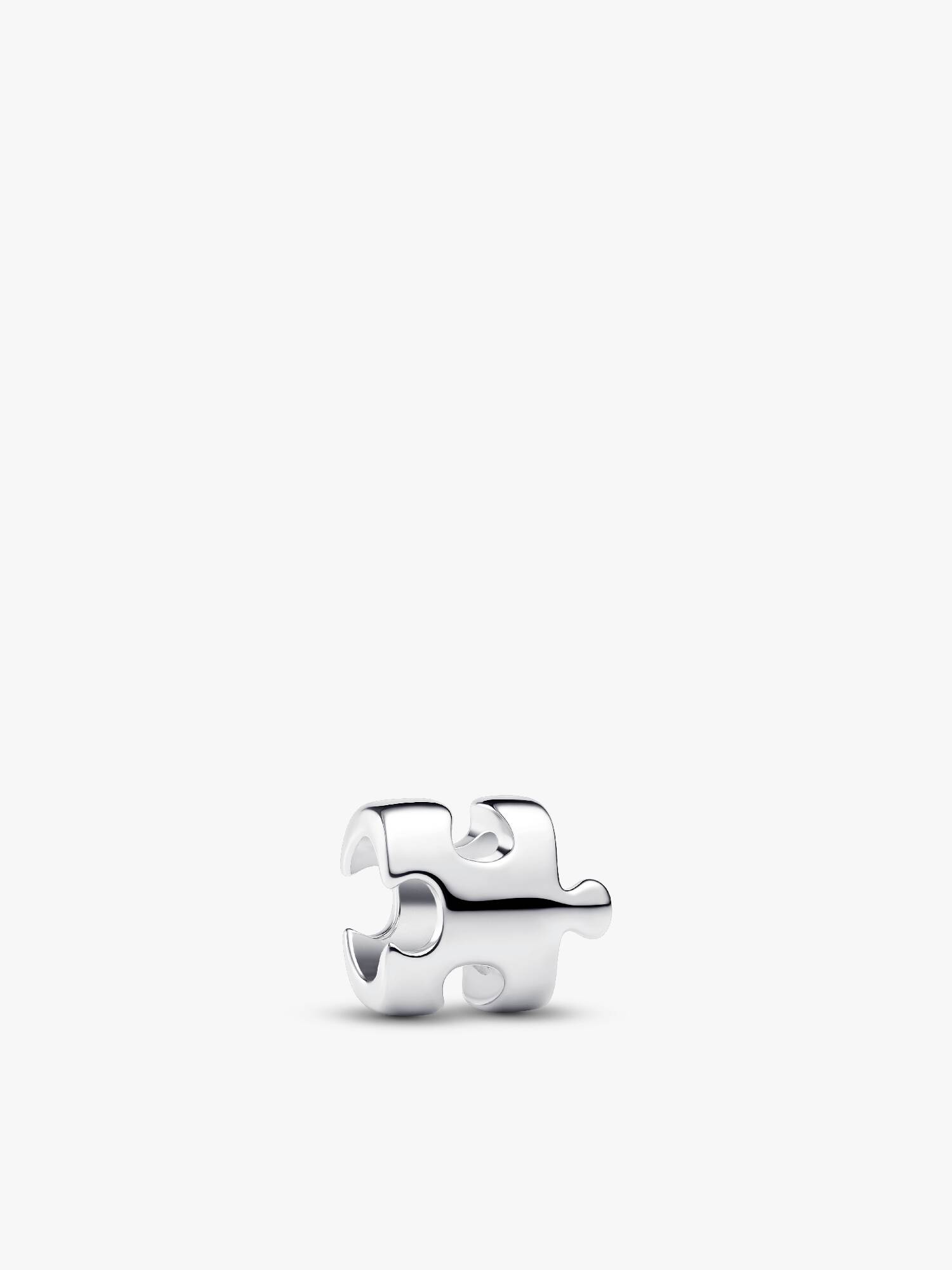 Mini Charm Pièce de Puzzle