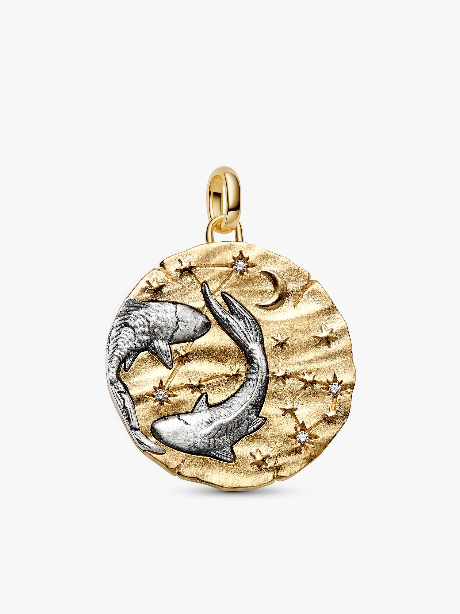 Charm Médaillon XL Signe des Poissons