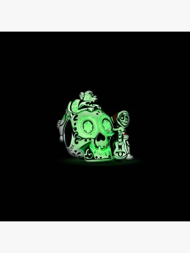 Charm Phosphorescent Disney Pixar Coco Crâne Miguel & Dante