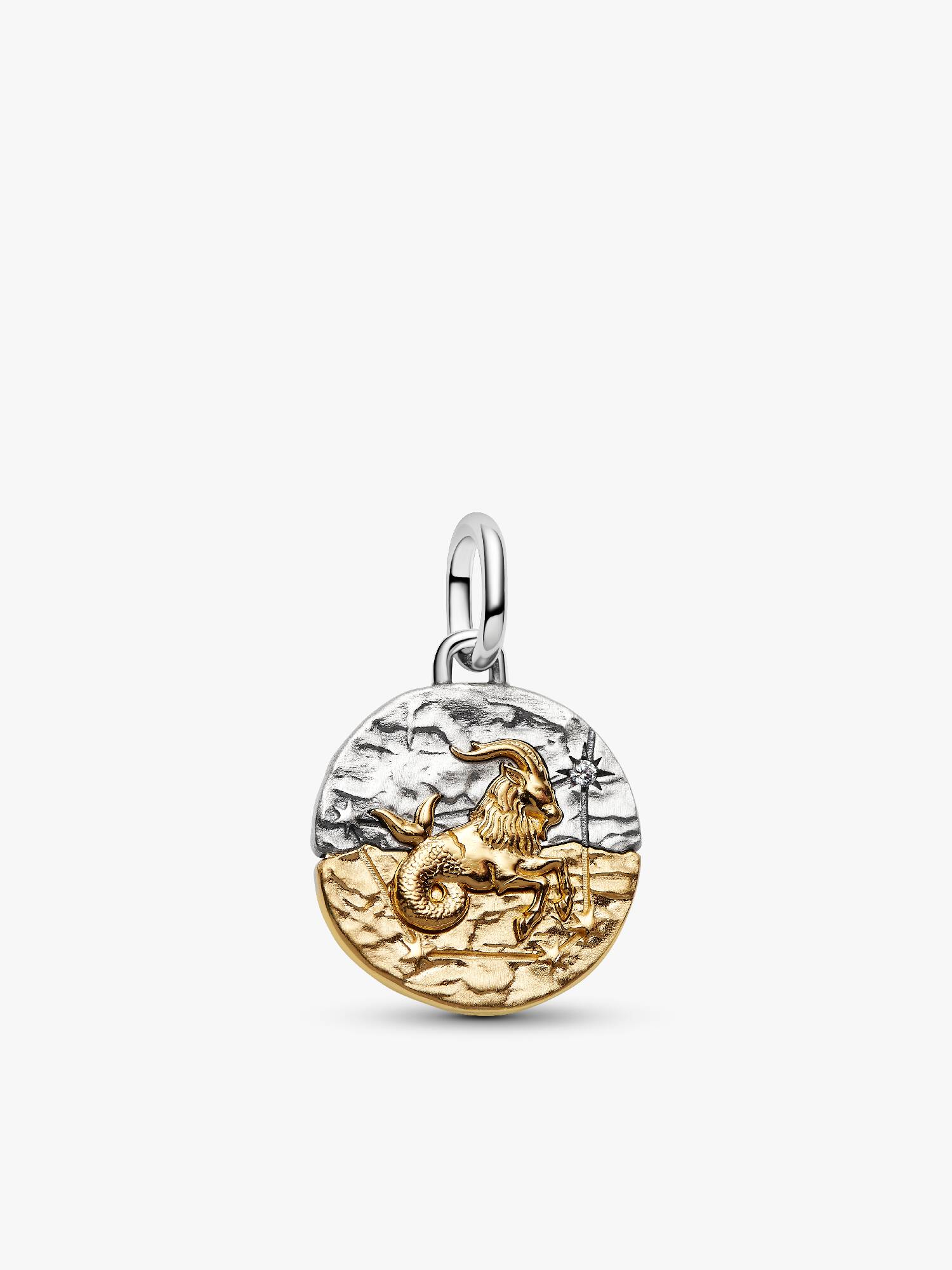 Charm Médaillon Signe du Capricorne