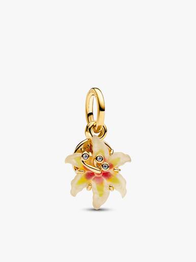 Ensemble de Charms Disney Raiponce