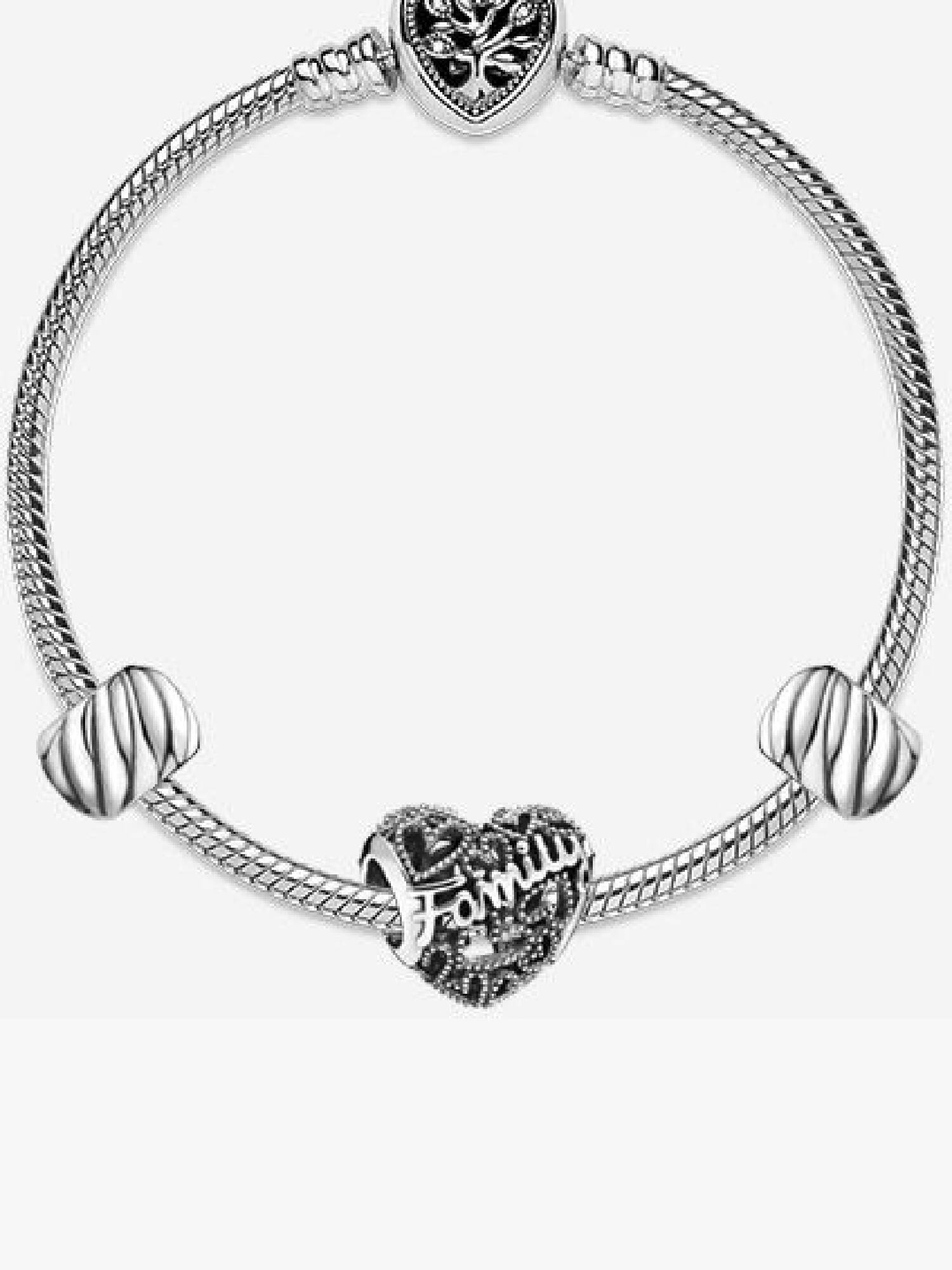Bracelet Composé Cœur de Famille et Charm Clip à Plumes