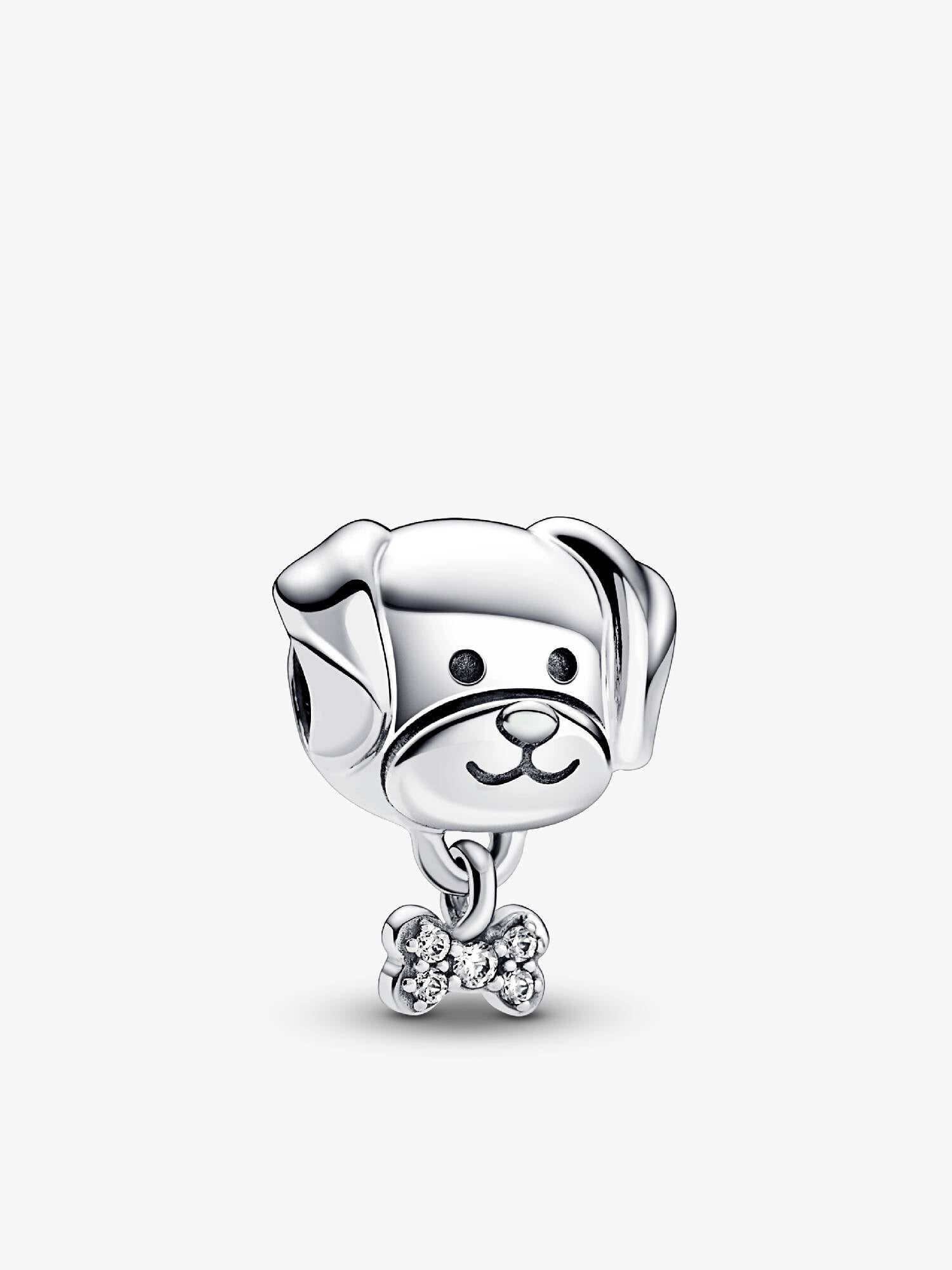 Charm Chien & Os