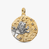 Charm Médaillon XL Signe du Lion Charm Médaillon XL Signe du Lion
